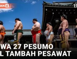 VIDEO: Japan Airlines Forced to Add More Aircraft Due to Concerns of Overloading with 27 Sumo Wrestlers