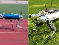 Robot Anjing Korea Selatan Bikin Kejutan dengan Pecahkan Rekor Lari 100 Meter Tercepat