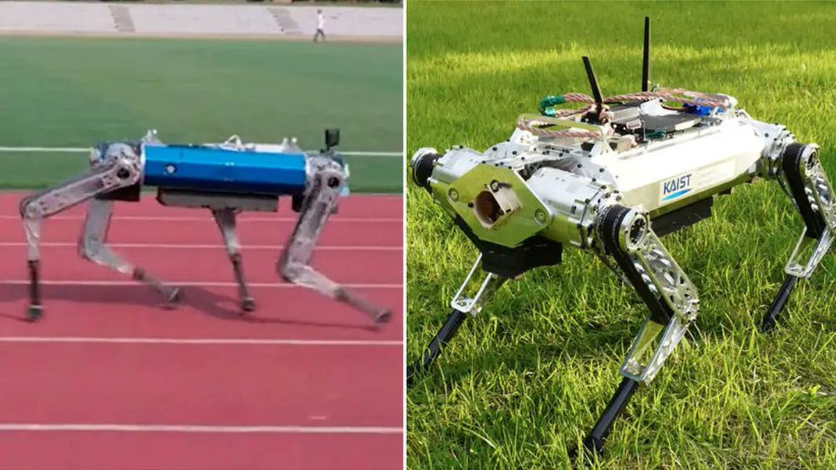 Robot Anjing Korea Selatan Bikin Kejutan dengan Pecahkan Rekor Lari 100 Meter Tercepat