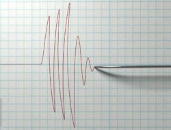 Jepang Mengeluarkan Peringatan Tsunami setelah Gempa di Filipina