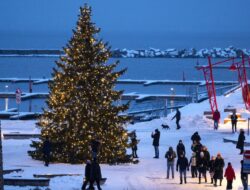 Pohon Cemara Tampil Cantik Menyambut Perayaan Natal dan Tahun Baru di Estonia