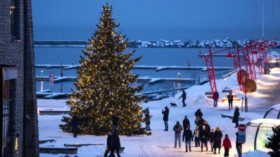 Pohon Cemara Tampil Cantik Menyambut Perayaan Natal dan Tahun Baru di Estonia