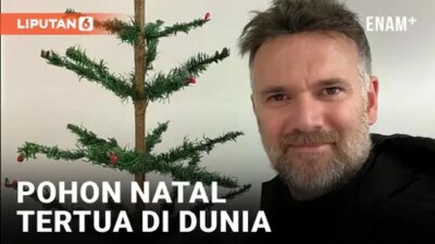 Pohon Natal Berusia 103 Tahun Dijual dengan Harga Rp66,5 Juta di Inggris, Disaksikan dalam Sebuah Video