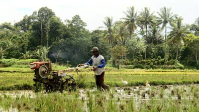 Negara-negara yang Mengikuti COP28 Berkomitmen untuk Tindakan di Bidang Pangan dan Pertanian sebagai Solusi Mengatasi Perubahan Iklim