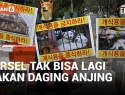 VIDEO: Korea Selatan Resmi Larang Konsumsi Daging Anjing dengan Mengeluarkan Undang-Undang