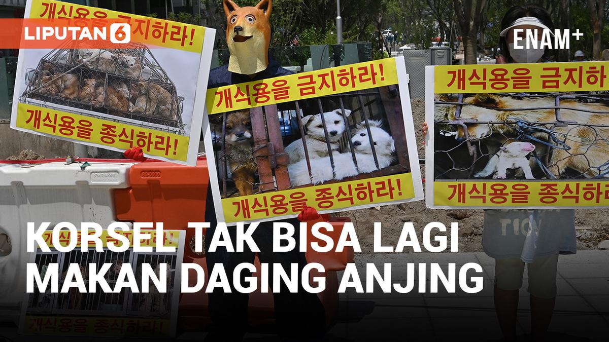 VIDEO: Korea Selatan Resmi Larang Konsumsi Daging Anjing dengan Mengeluarkan Undang-Undang