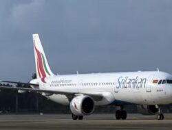 Tikus Berkeliling di Pesawat SriLankan Airlines Membuat Larangan Terbang Selama 3 Hari