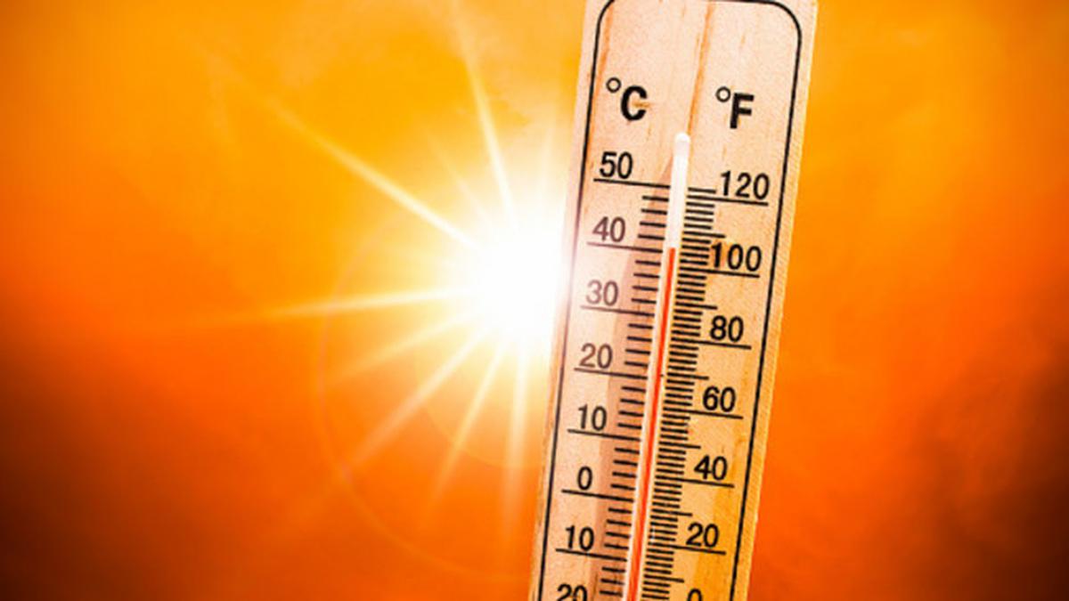 India Dilanda Gelombang Panas, Suhu Mencapai 47 Derajat Celsius