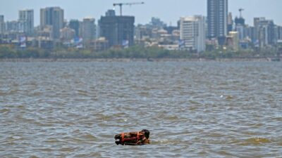 Gelombang Panas Menerjang India, Kuda-Kuda Diajak Berenang