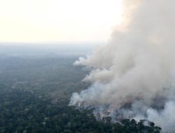 Warga Brasil Mengalami Kesulitan Bernapas Selama Amazon Terbakar