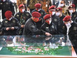 Tahapan Seleksi STIN 2025: Wawasan Membuka Peluang
