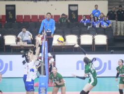 Daftar Pemain Yogya Falcons di Proliga 2025: Penemuan Menjanjikan