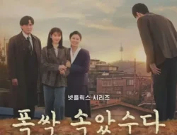 Reaksi Heboh, Kim Seon Ho Suami IU – Berita Universe Drakor Terbaru