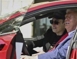 Trump Sebut Elon Musk Gila: Penjelasan Lengkap
