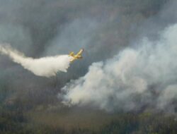 Kebakaran Hutan Kanada: Kemlu RI Memastikan WNI Aman