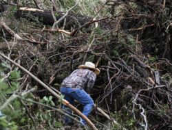 Bencana Banjir Bandang di Texas: 78 Orang Tewas