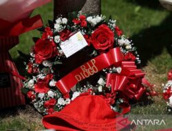 7 Pemain Sepak Bola Dunia yang Meninggal dalam Kecelakaan Mobil