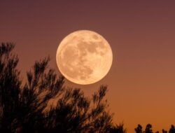 Momen Terbaik untuk Menyaksikan Sturgeon Moon