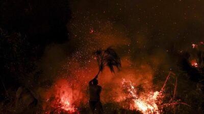 Kebakaran Hutan Portugal: 650 Petugas Pemadam Pekerahkan