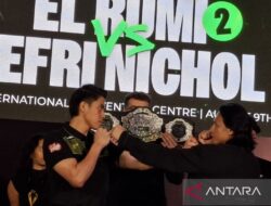 Mengenal Dislokasi Bahu Setelah Tinju El Rumi vs Jefri Nichol