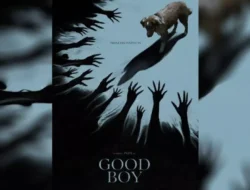 Review Film Horor Terbaru: Good Boy (POV Seekor Anjing)