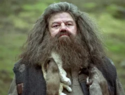Sutradara Film Harry Potter Kritik Pedas Reboot Hagrid Baru