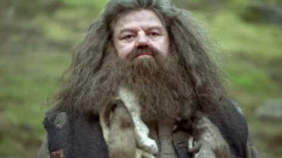 Sutradara Film Harry Potter Kritik Pedas Reboot Hagrid Baru