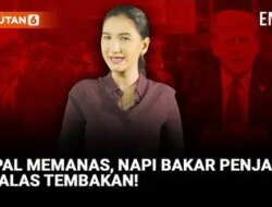 Kerusuhan di Nepal: Trump Tuding Radikal Kiri di Balik Kematian Kirk